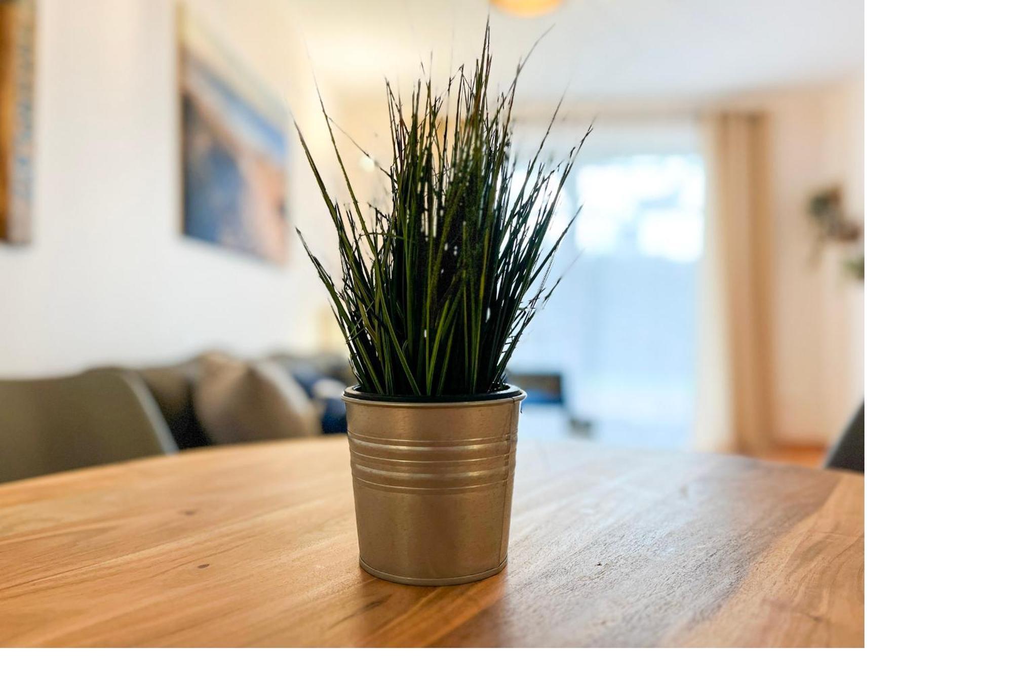 Hanse-Hof Wohnung 05 Boltenhagen  Ngoại thất bức ảnh